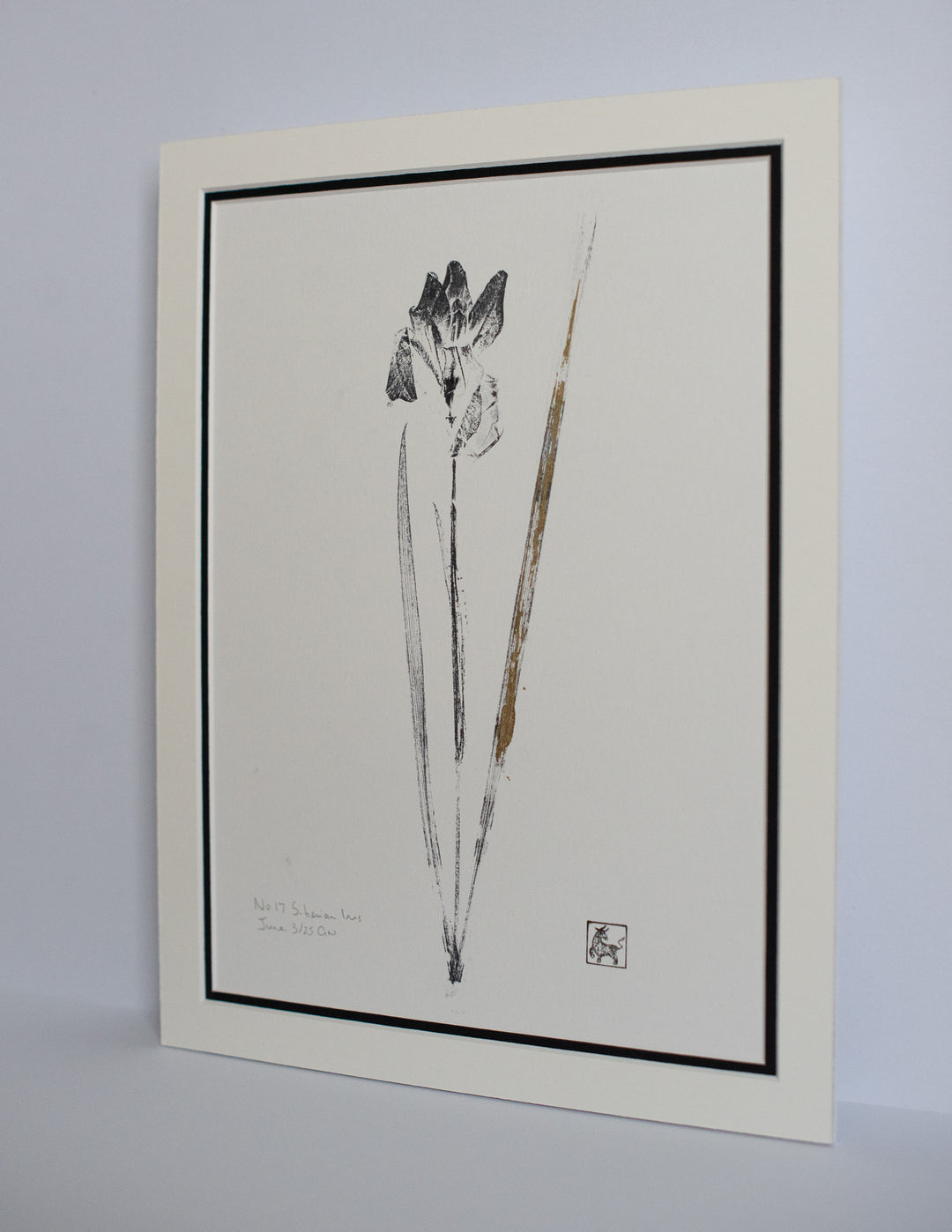 No 17. Siberian iris