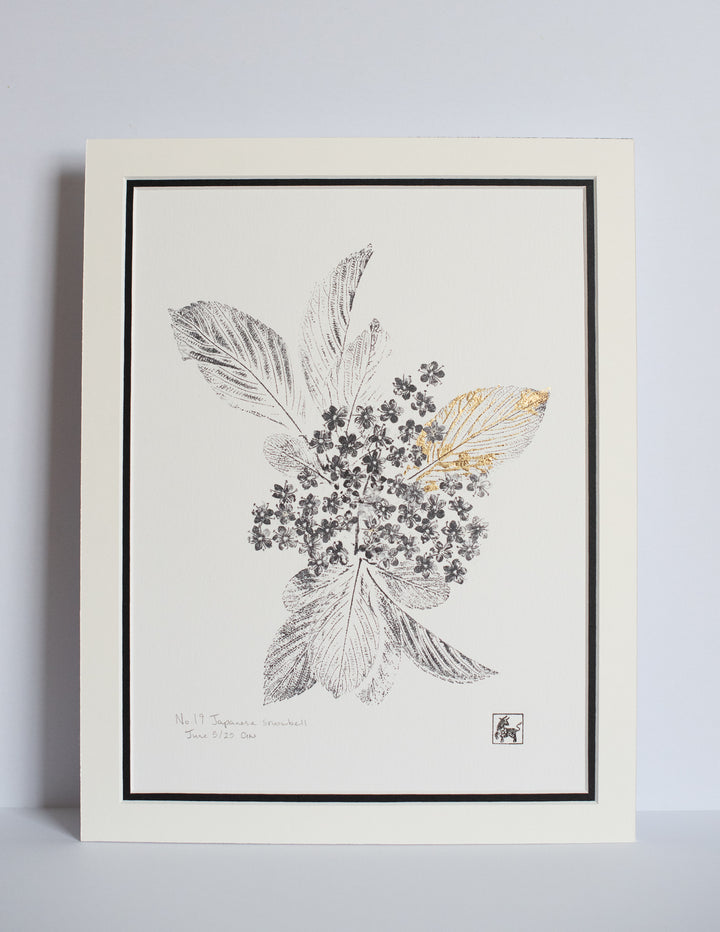 No 19. Japanese snowbell