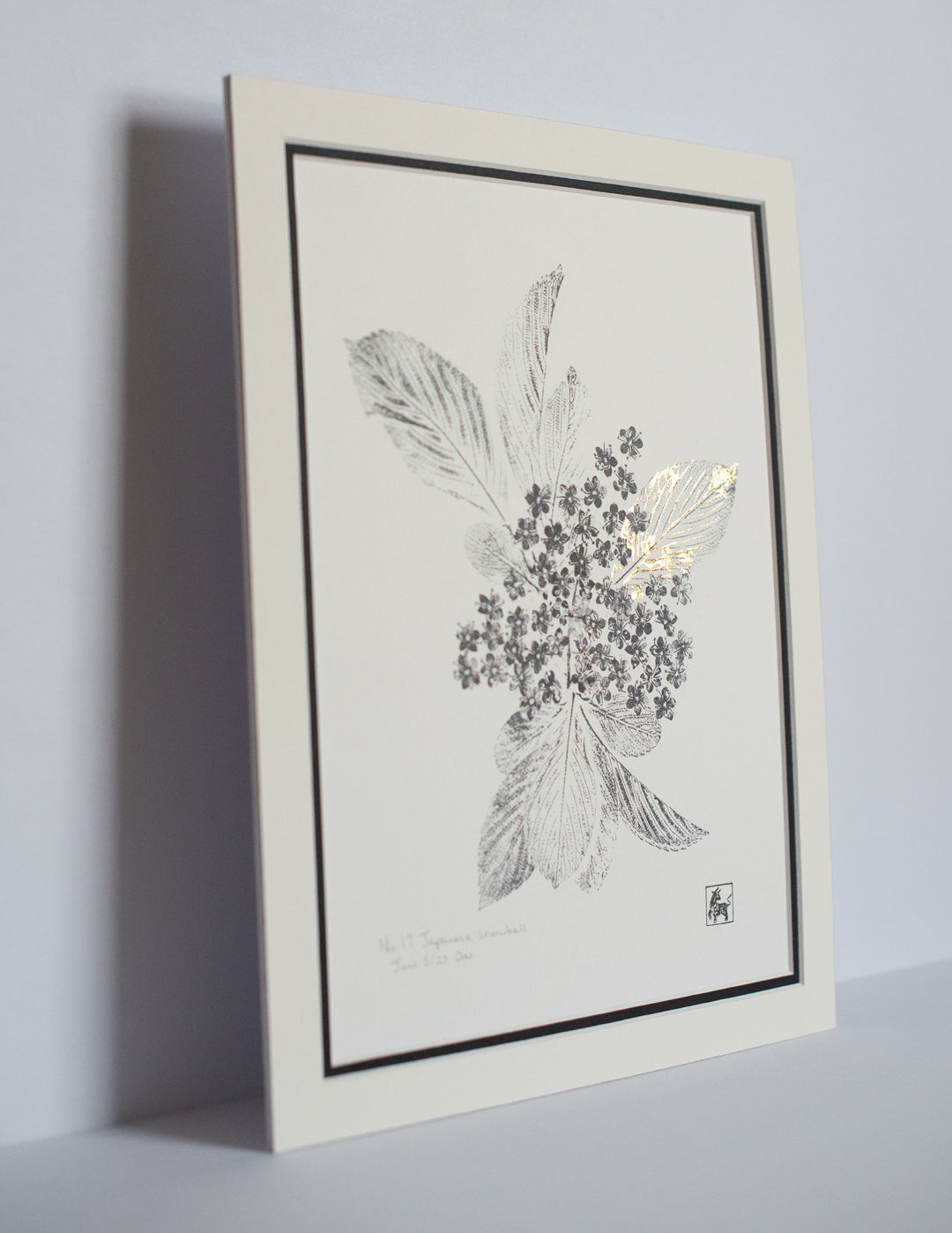 No 19. Japanese snowbell