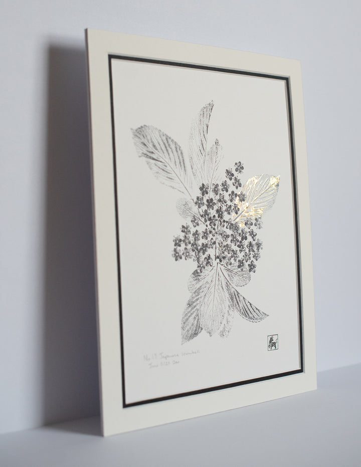 No 19. Japanese snowbell