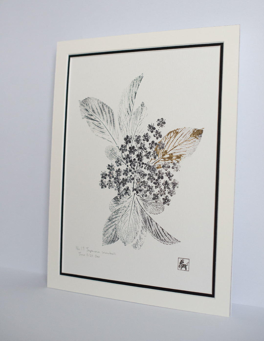 No 19. Japanese snowbell