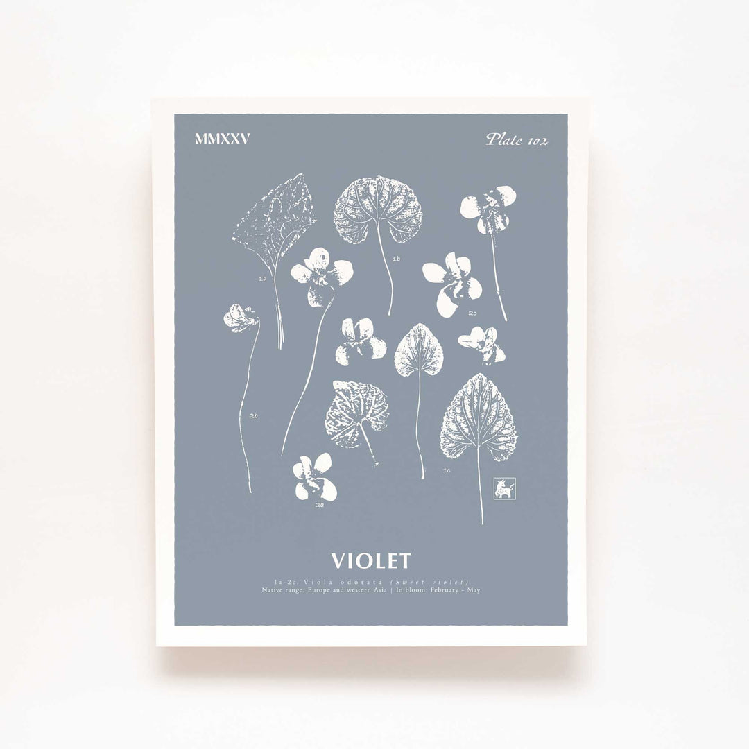 February | Violet
