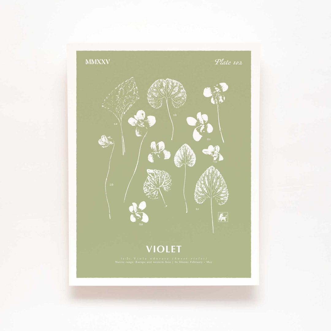February | Violet