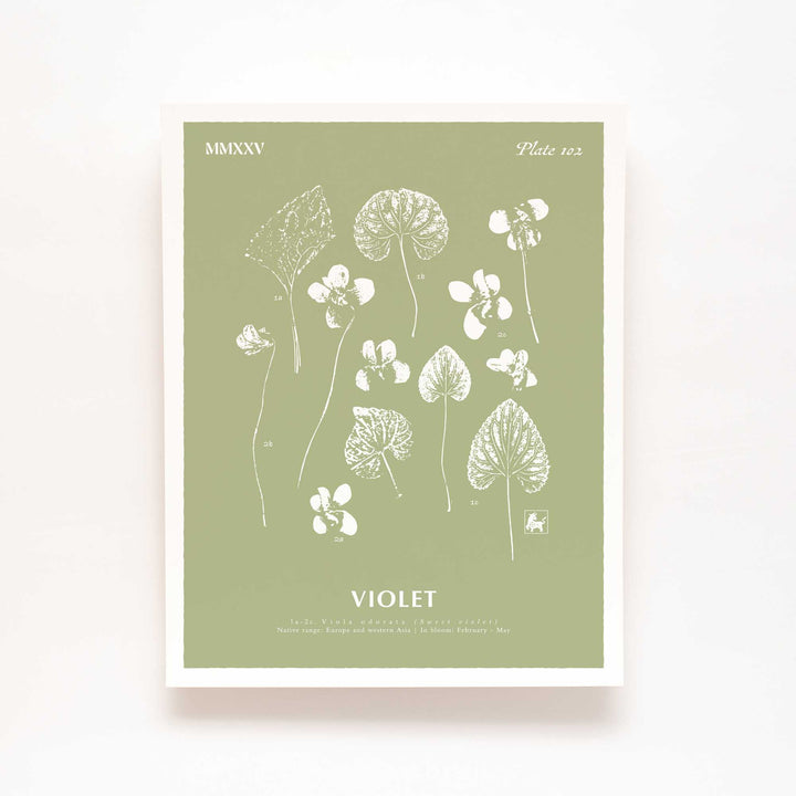 February | Violet