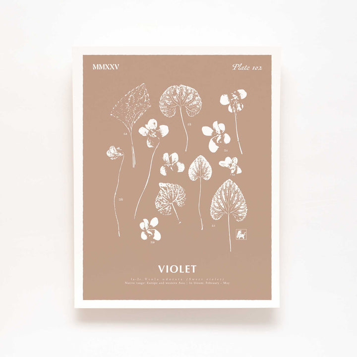 February | Violet
