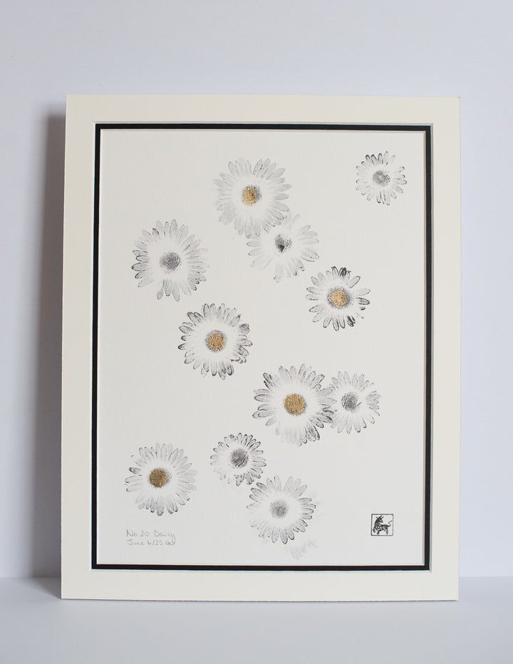 No 20. Daisy