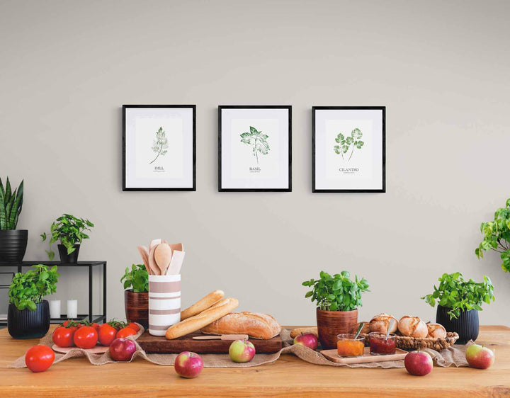 Dill | Herb Wall Art