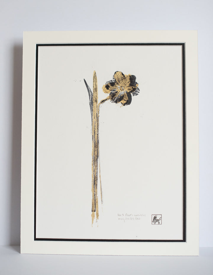 No 3. Poet's narcissus