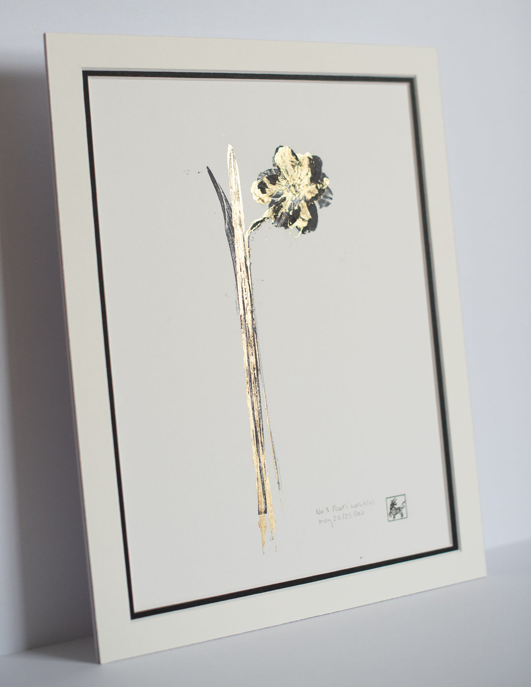 No 3. Poet's narcissus