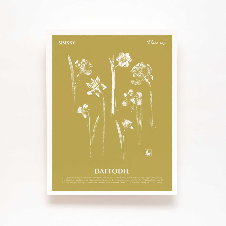March | Daffodil