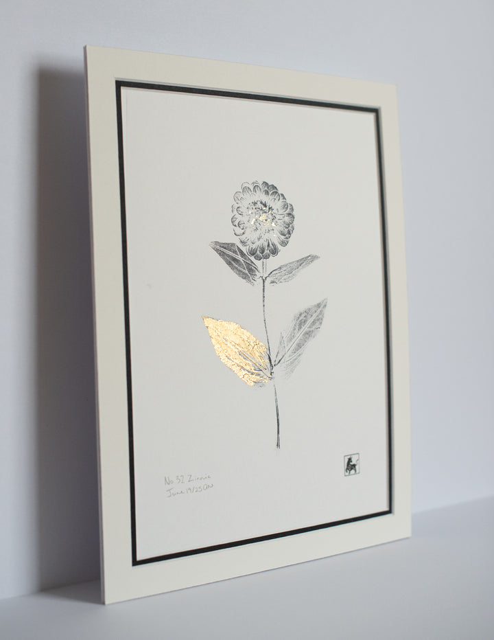 No 32. Zinnia