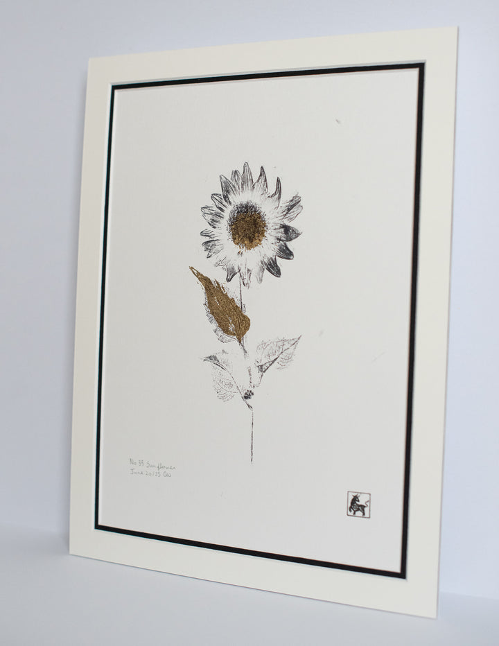No 33. Sunflower