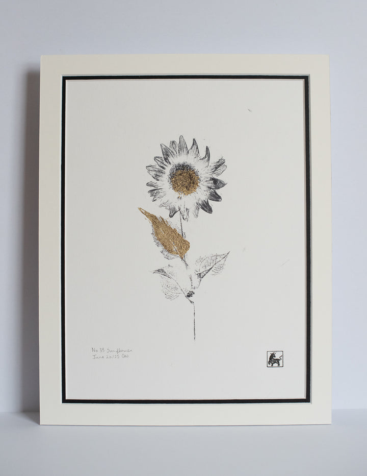 No 33. Sunflower