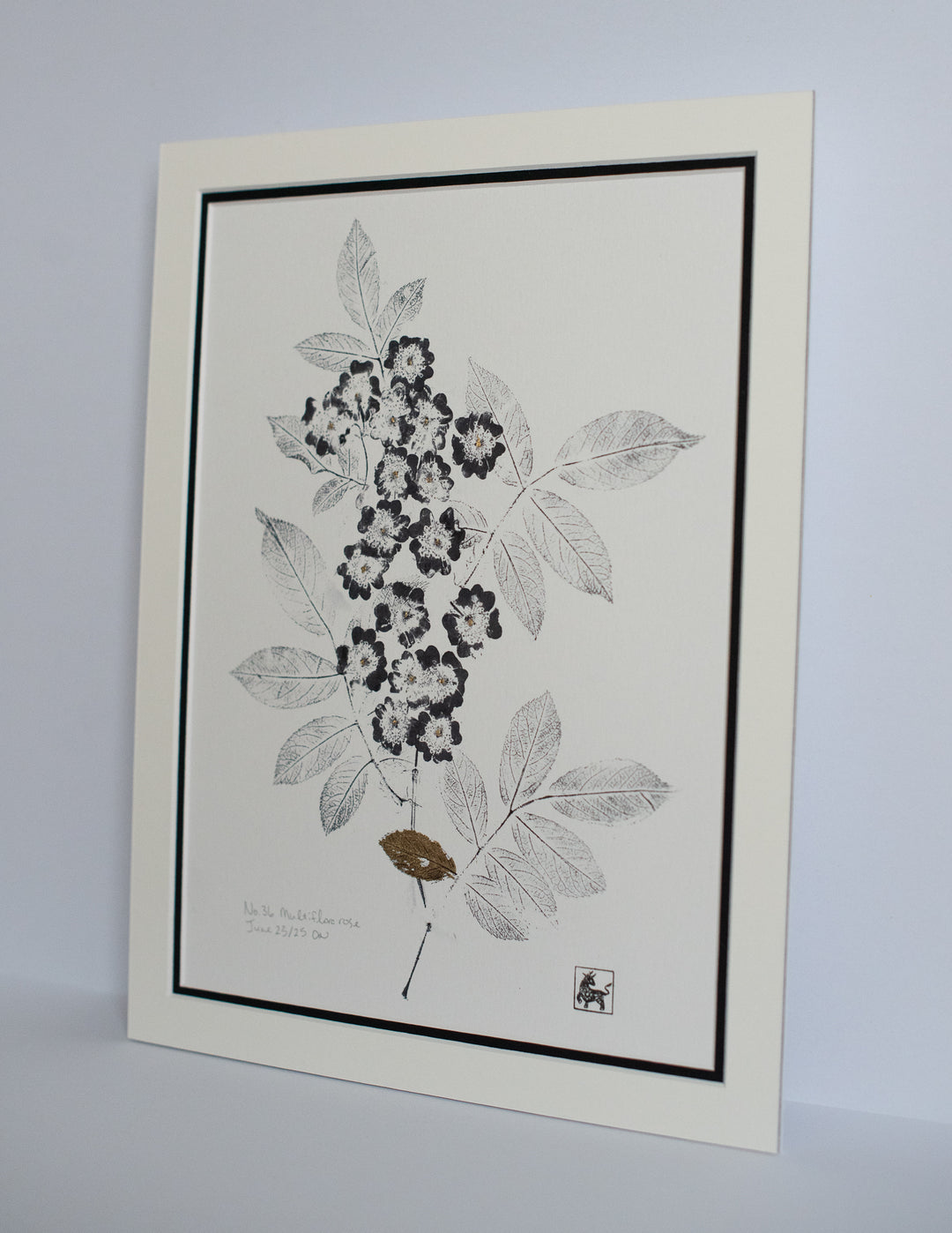 No 36. Multiflora rose