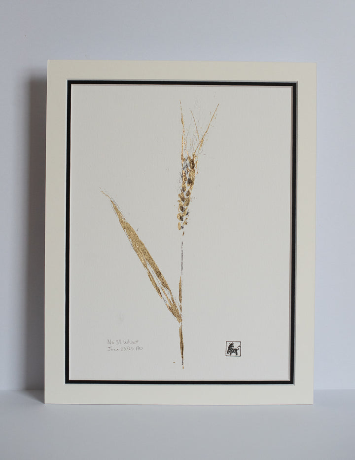 No 38. Wheat