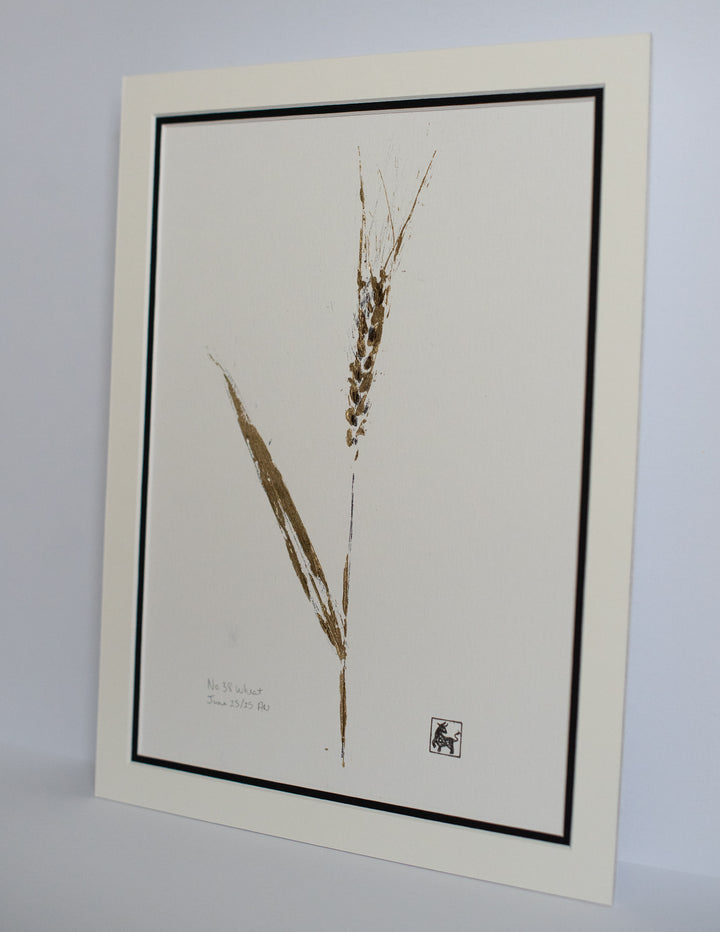 No 38. Wheat