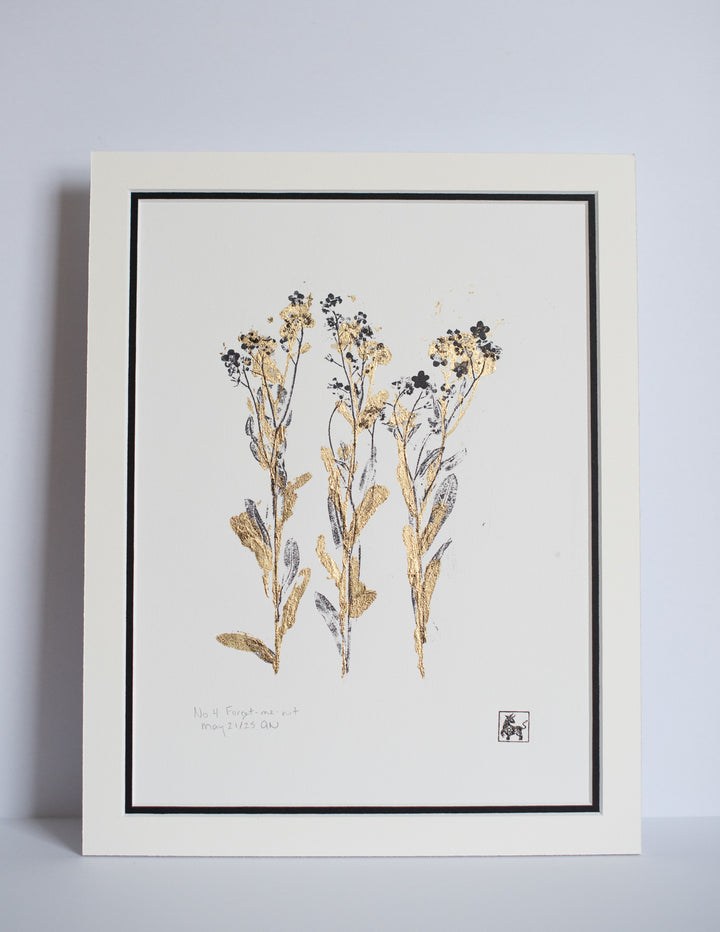 No 4. Forget-me-not
