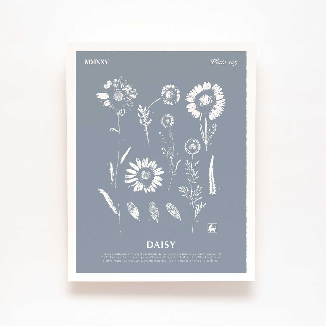 April | Daisy