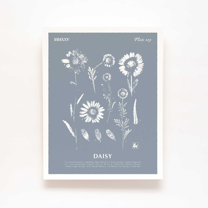 April | Daisy
