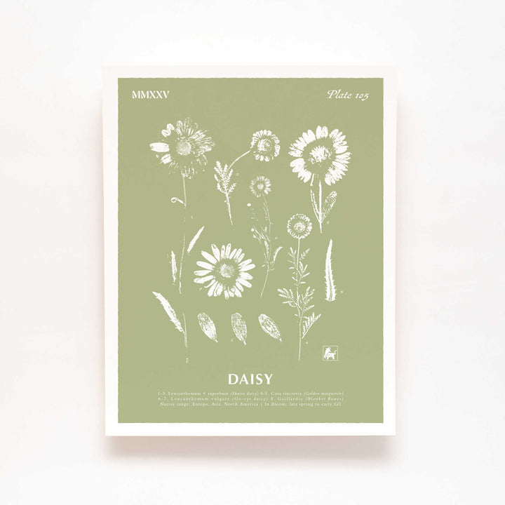April | Daisy