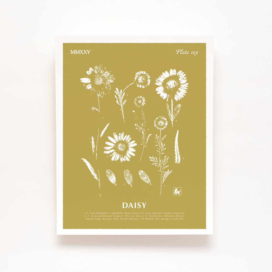 April | Daisy