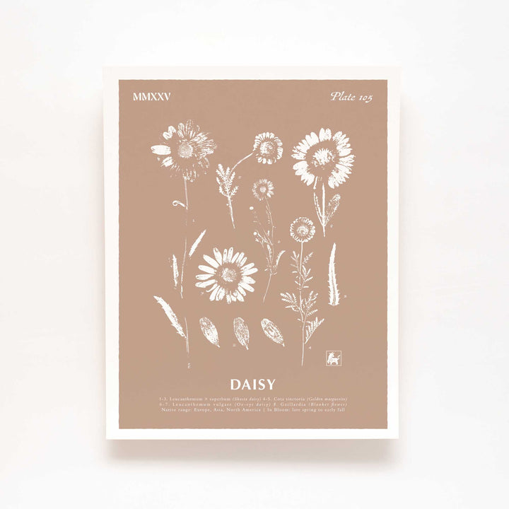 April | Daisy