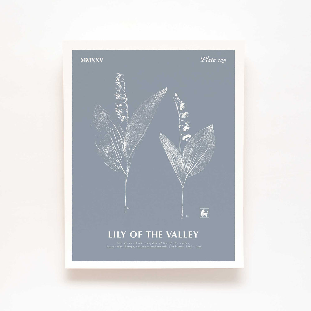 May | Lily of the valley
