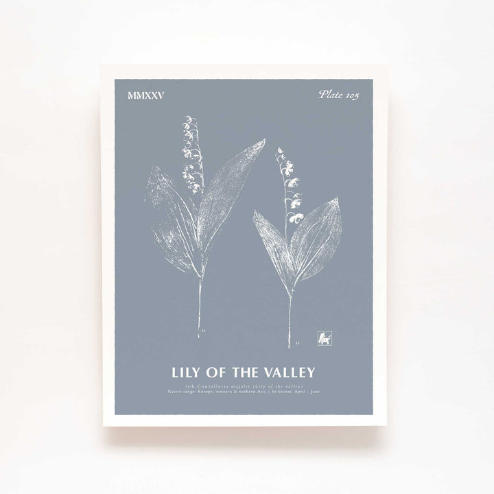 May | Lily of the valley