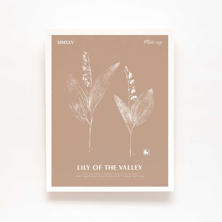 May | Lily of the valley