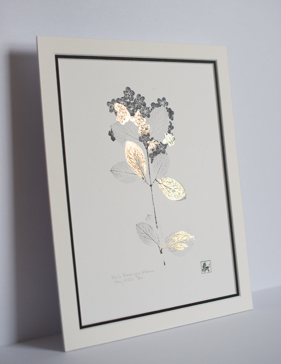 No 6. Koreanspice Viburnum