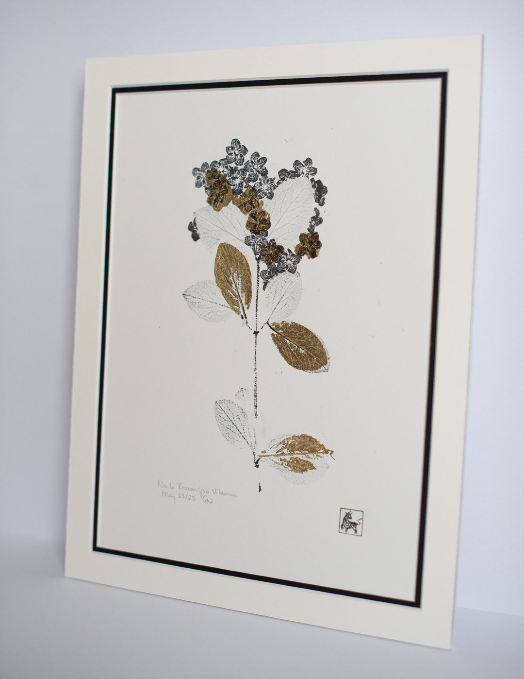 No 6. Koreanspice Viburnum