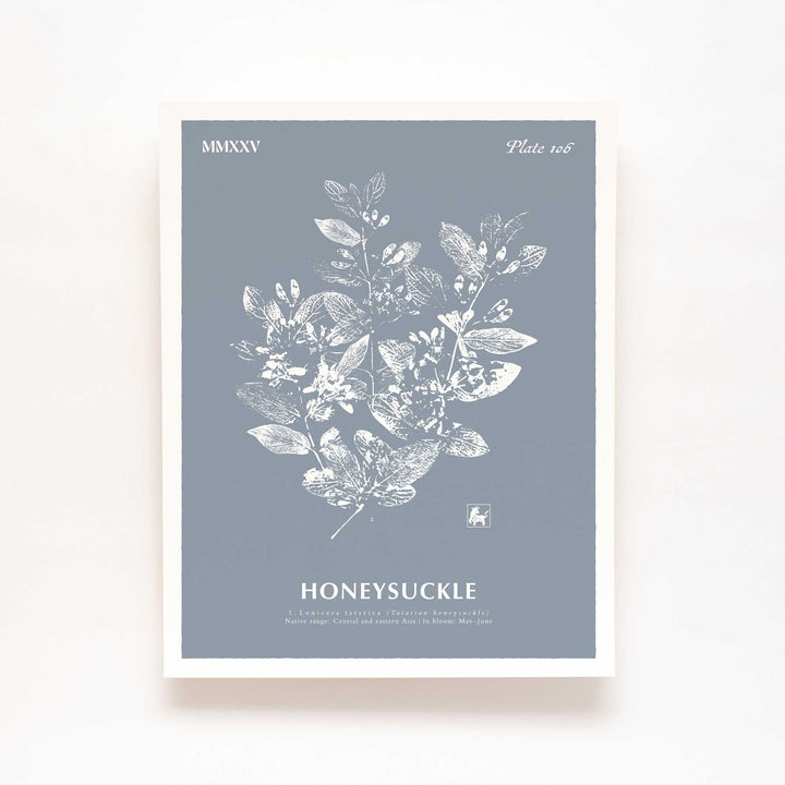 June | Honeysuckle