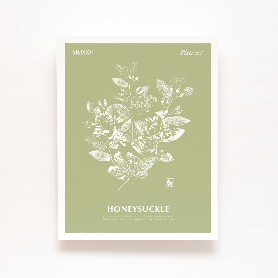 June | Honeysuckle