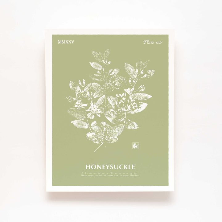 June | Honeysuckle