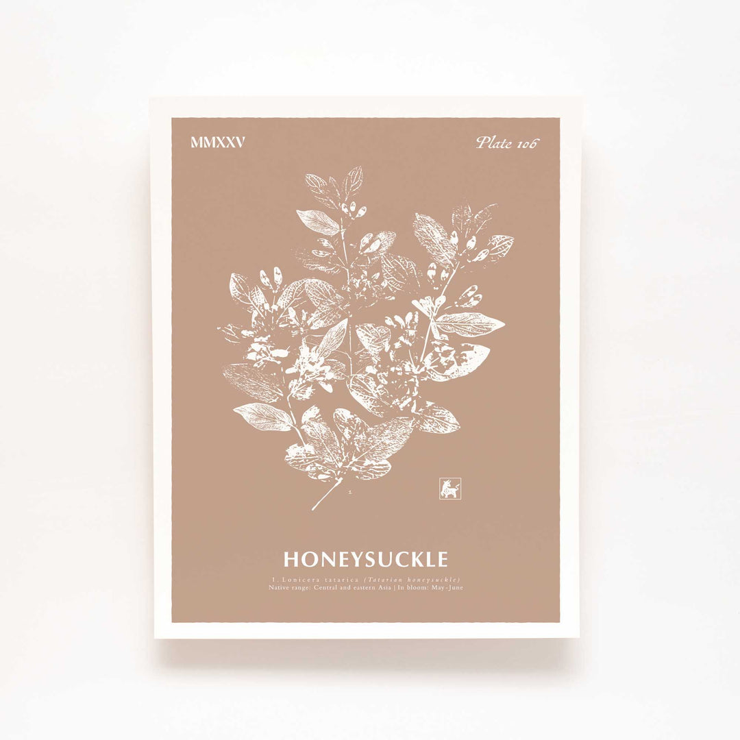 June | Honeysuckle