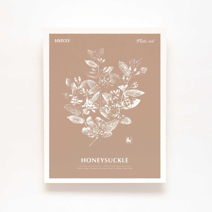 June | Honeysuckle