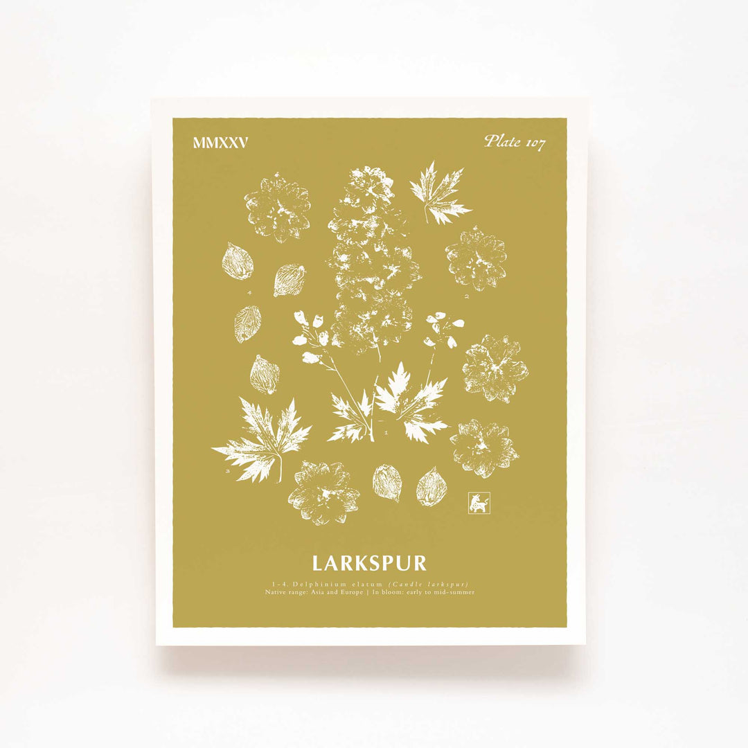July | Larkspur