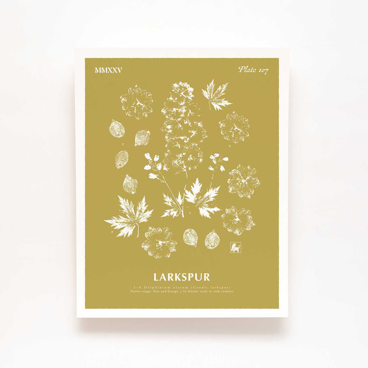 July | Larkspur