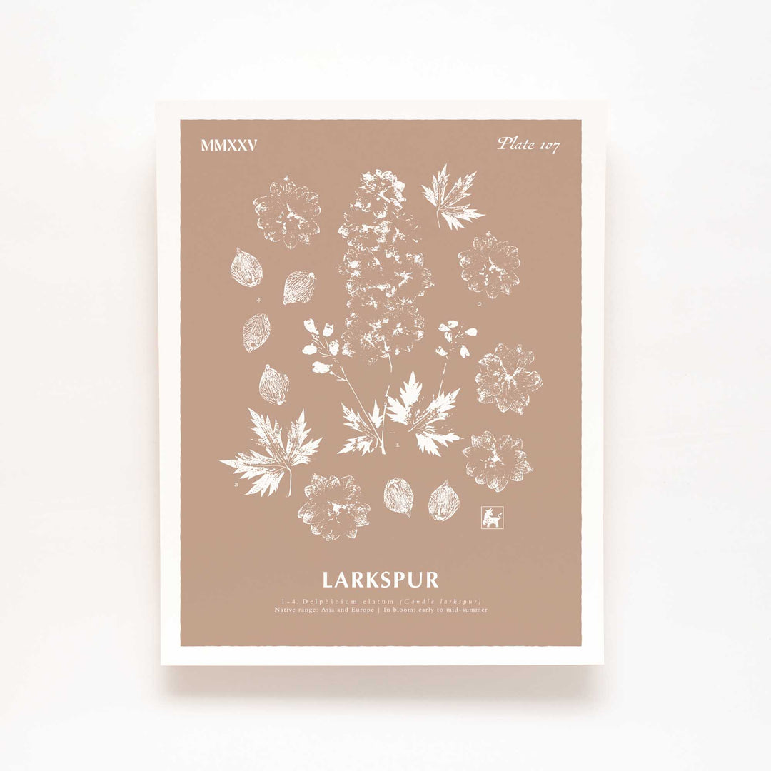 July | Larkspur