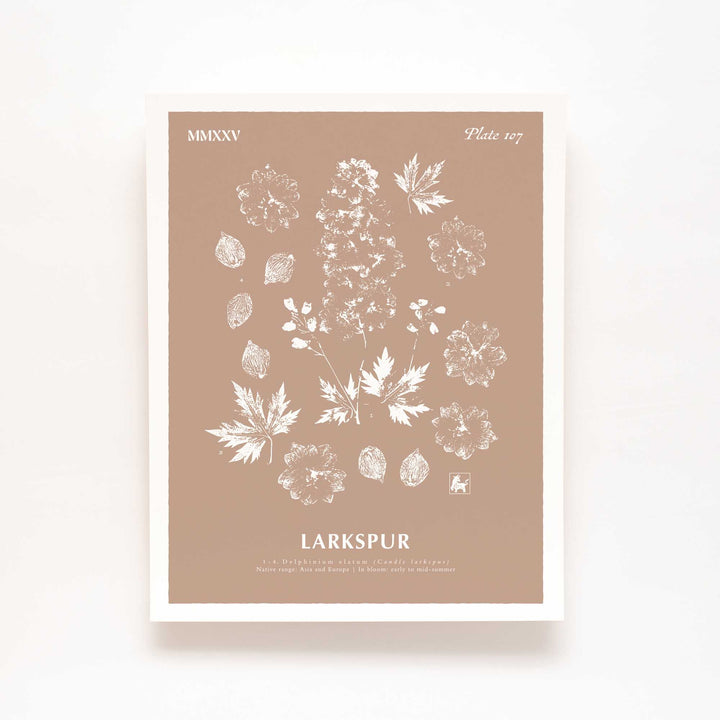 July | Larkspur