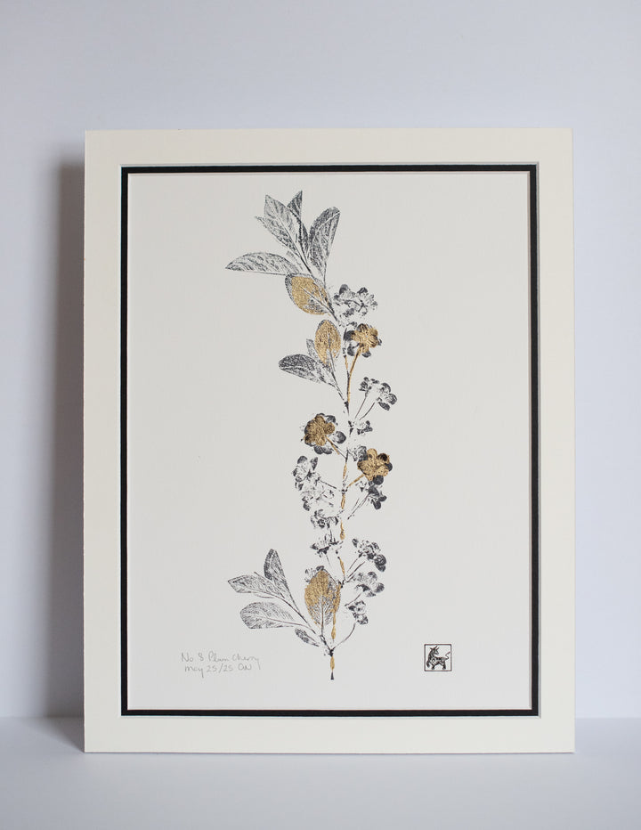 No 8. Plum cherry