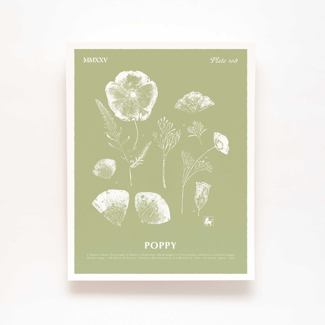 August | Poppy
