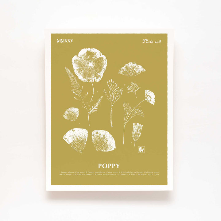 August | Poppy