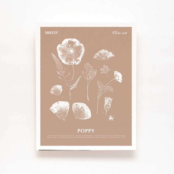 August | Poppy