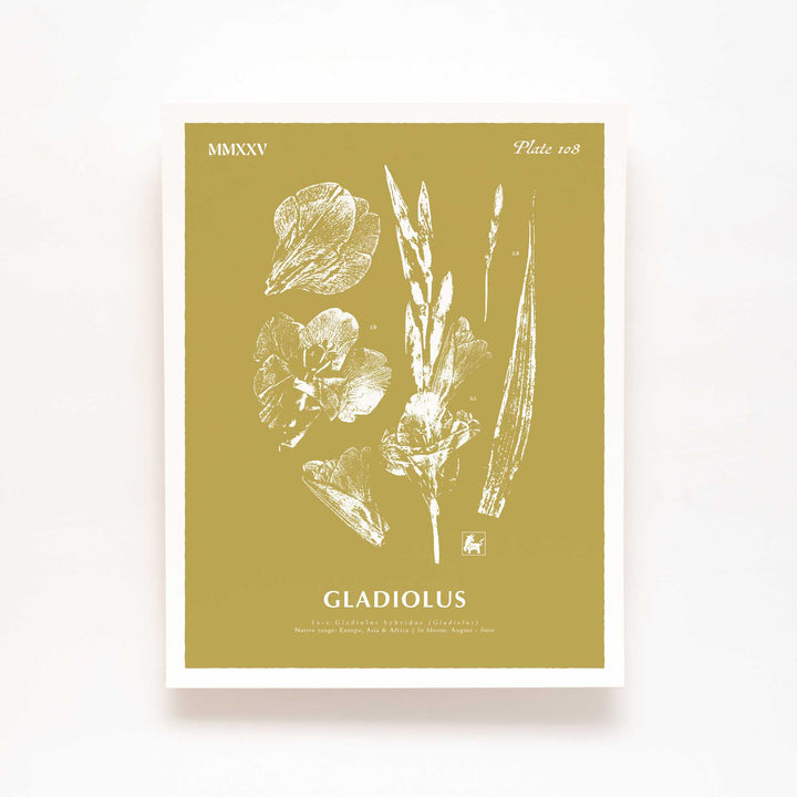 August | Gladiolus