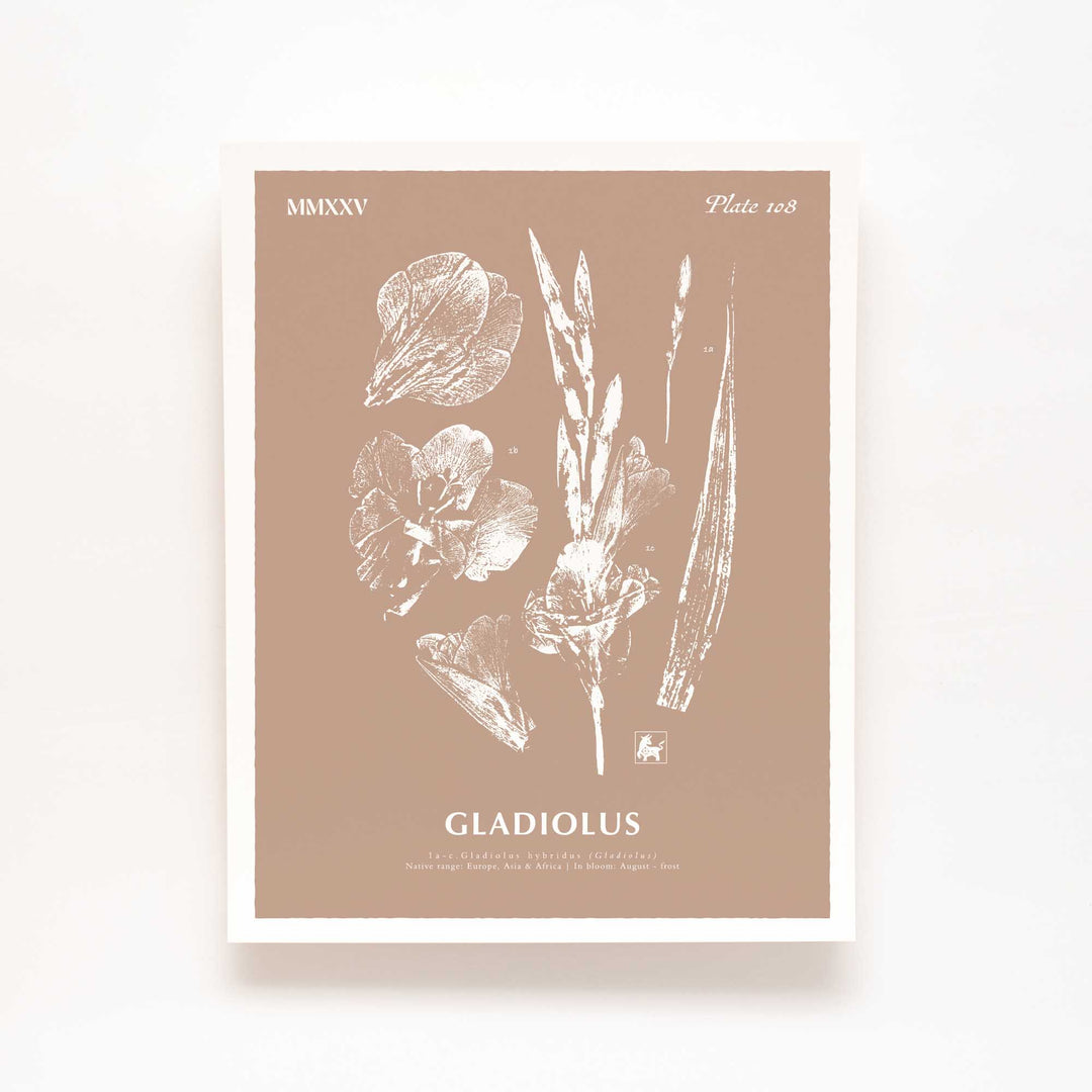 August | Gladiolus