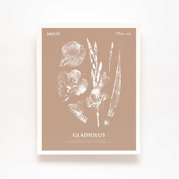 August | Gladiolus