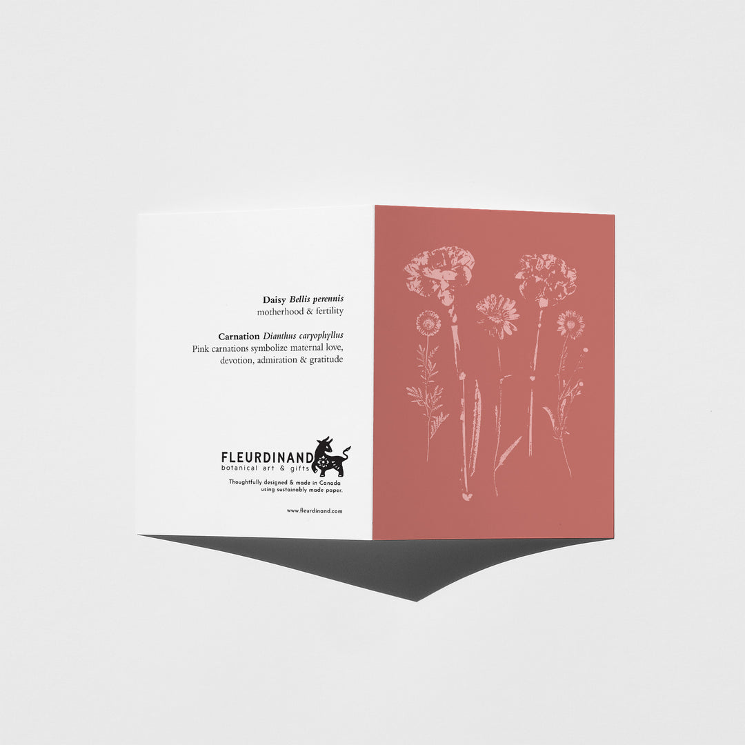 Carnation &amp; Daisy greeting card