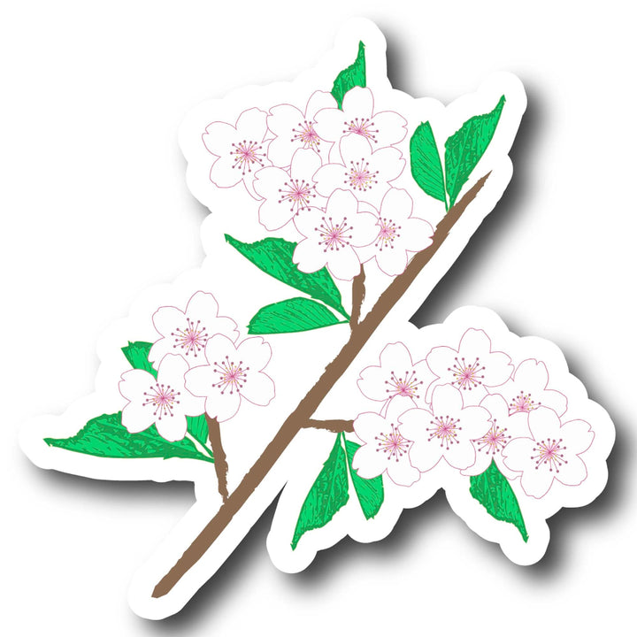 Sticker of a cherry blossom branch with white flowers and green leaves on a white background