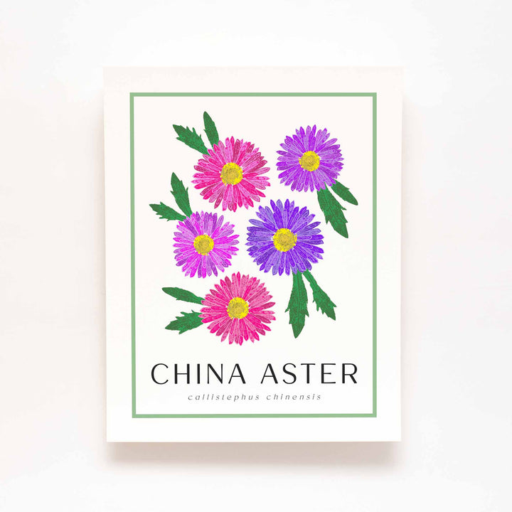 China Aster | Flower Art Prints